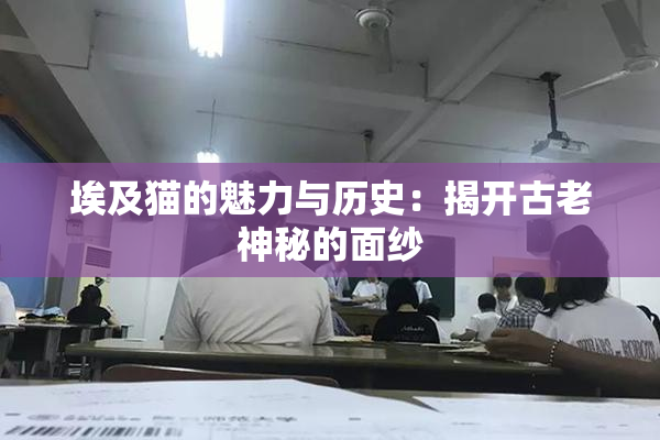 埃及猫的魅力与历史：揭开古老神秘的面纱