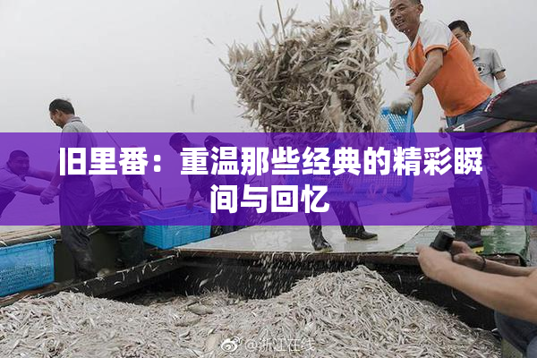 旧里番：重温那些经典的精彩瞬间与回忆