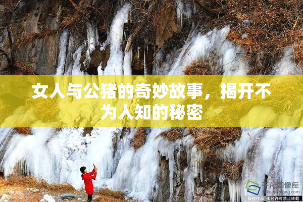 女人与公猪的奇妙故事，揭开不为人知的秘密