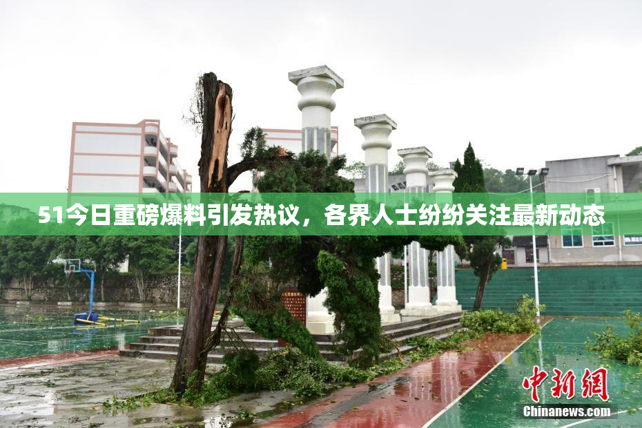 51今日重磅爆料引发热议，各界人士纷纷关注最新动态