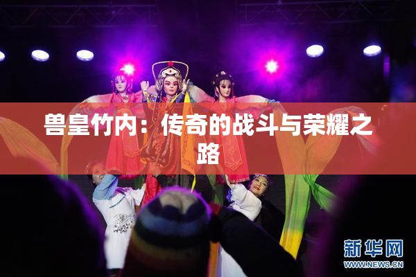 兽皇竹内：传奇的战斗与荣耀之路