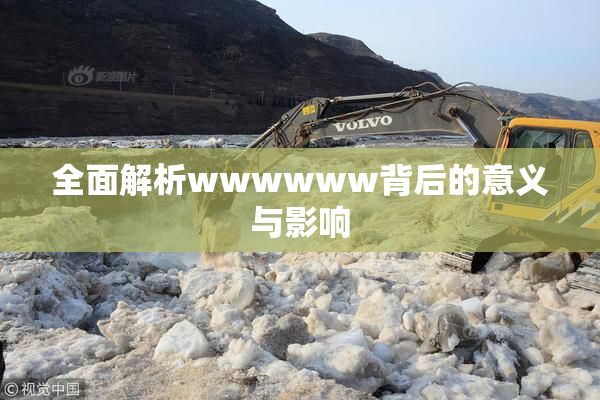 全面解析wwwwww背后的意义与影响