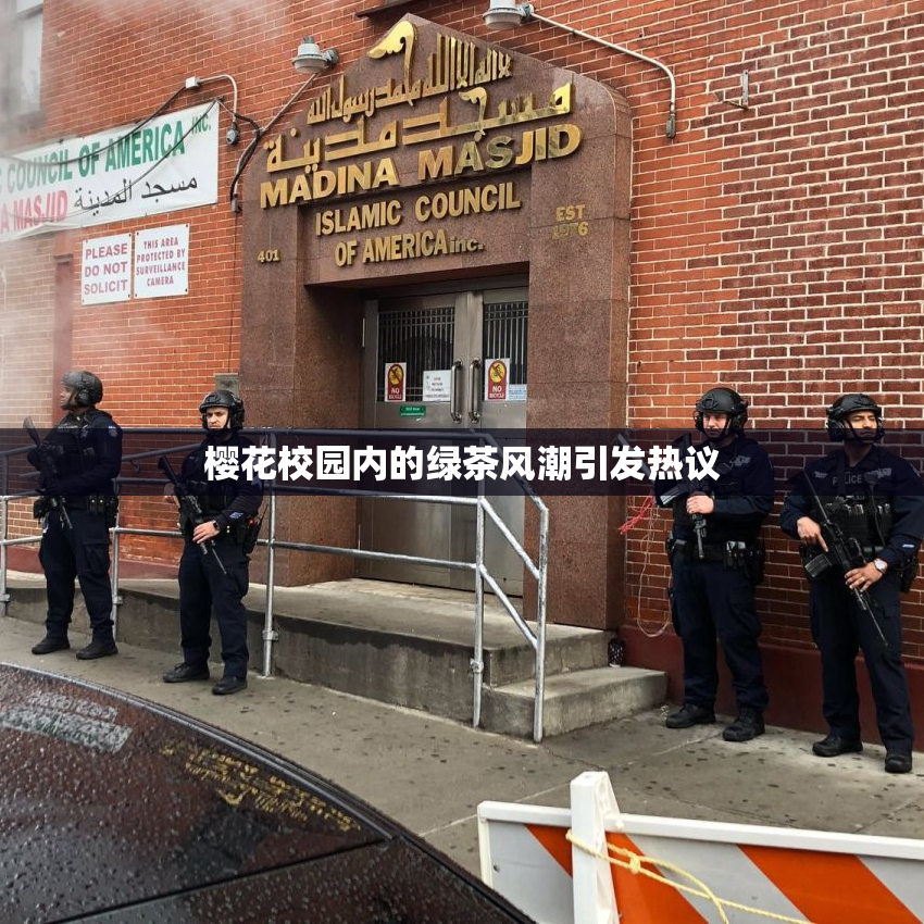 樱花校园内的绿茶风潮引发热议