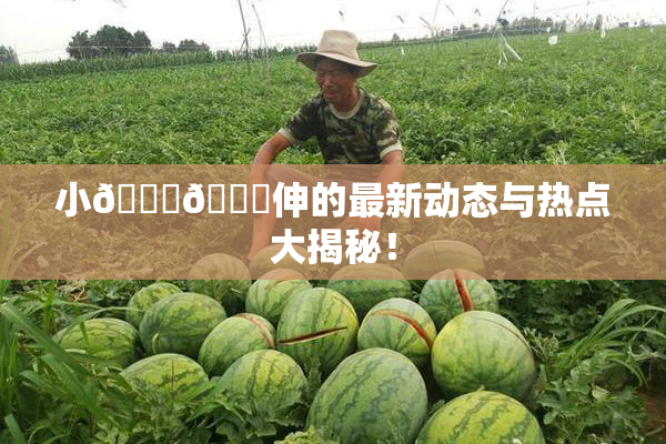 小🐔🐔伸的最新动态与热点大揭秘！
