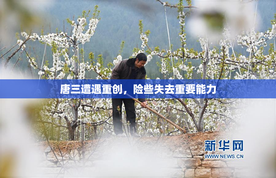 唐三遭遇重创，险些失去重要能力