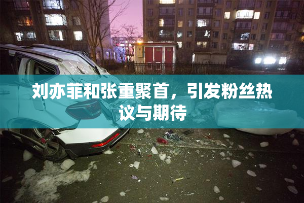 刘亦菲和张重聚首，引发粉丝热议与期待