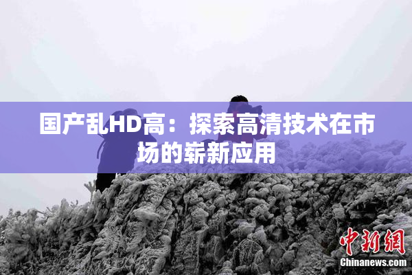 国产乱HD高：探索高清技术在市场的崭新应用