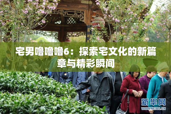 宅男噜噜噜6：探索宅文化的新篇章与精彩瞬间