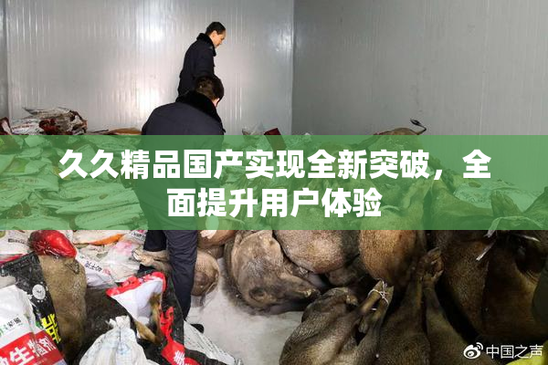 久久精品国产实现全新突破，全面提升用户体验