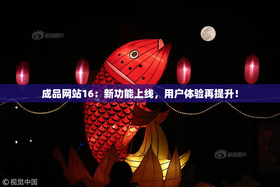 成品网站16：新功能上线，用户体验再提升！
