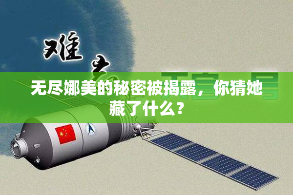 无尽娜美的秘密被揭露，你猜她藏了什么？