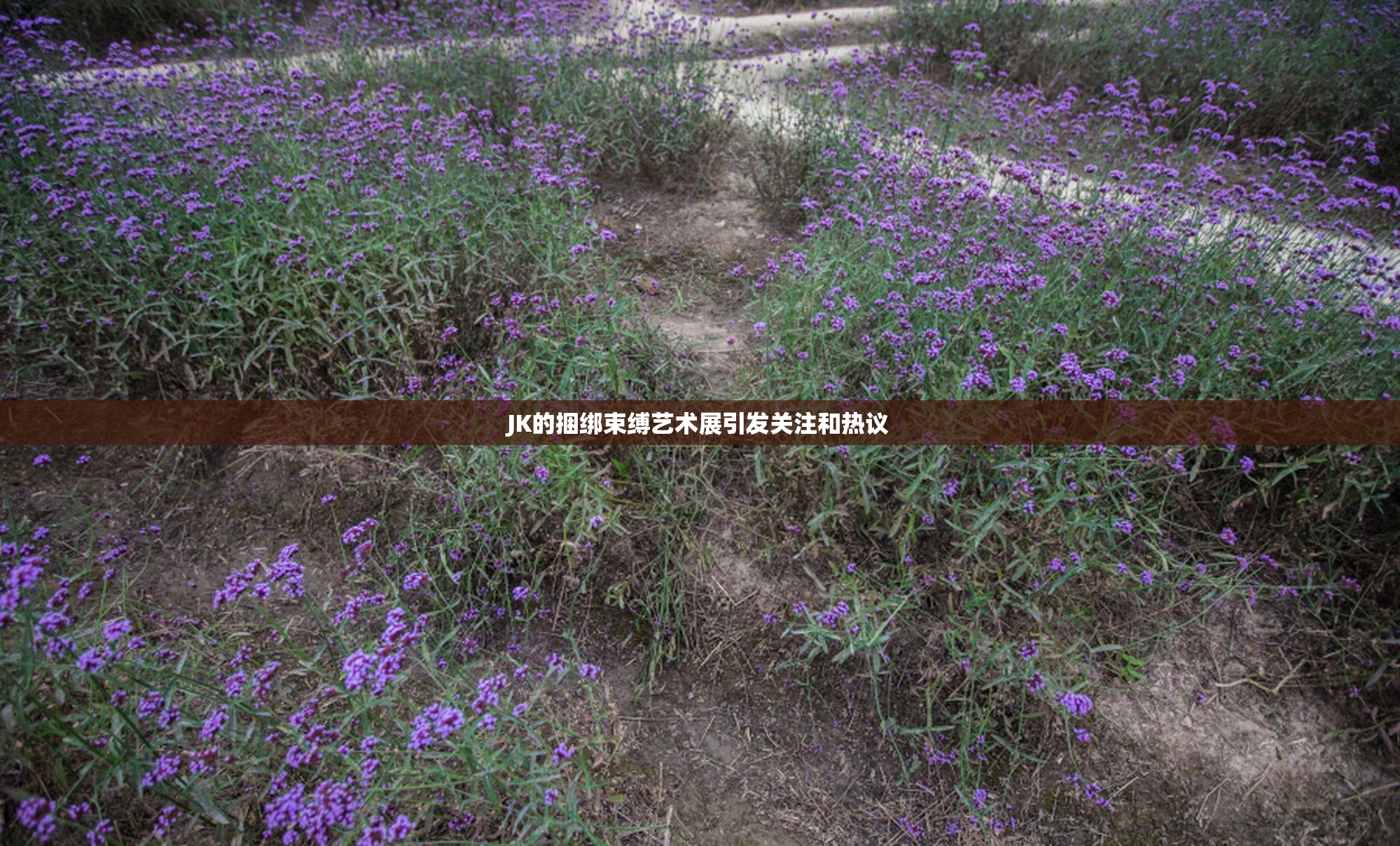 JK的捆绑束缚艺术展引发关注和热议
