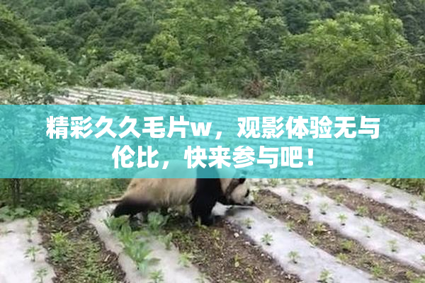 精彩久久毛片w，观影体验无与伦比，快来参与吧！