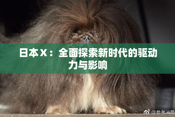 日本Ⅹ：全面探索新时代的驱动力与影响