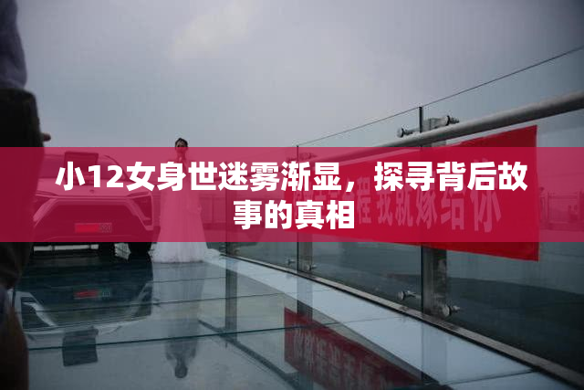 小12女身世迷雾渐显，探寻背后故事的真相
