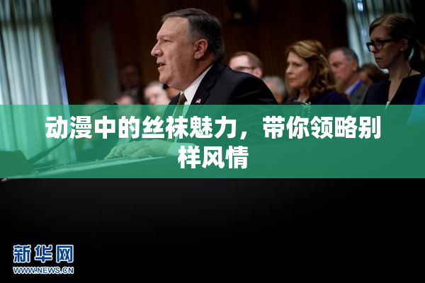 动漫中的丝袜魅力，带你领略别样风情