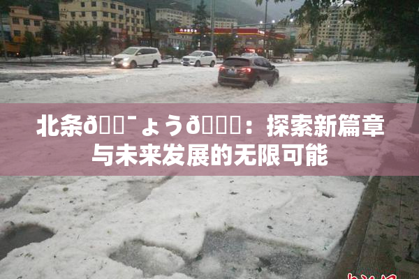 北条🔯ょう🍓：探索新篇章与未来发展的无限可能