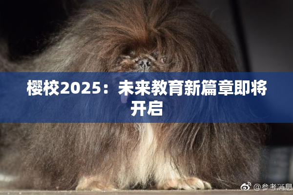 樱校2025：未来教育新篇章即将开启