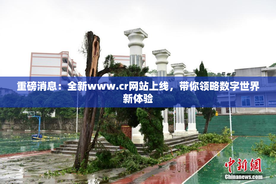 重磅消息：全新www.cr网站上线，带你领略数字世界新体验