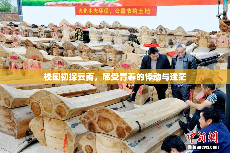 校园初探云雨，感受青春的悸动与迷茫