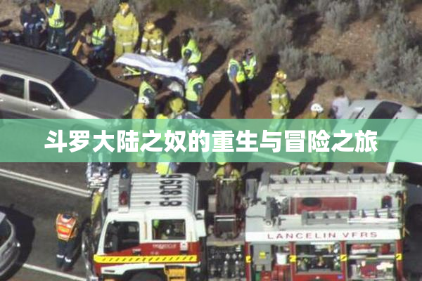 斗罗大陆之奴的重生与冒险之旅