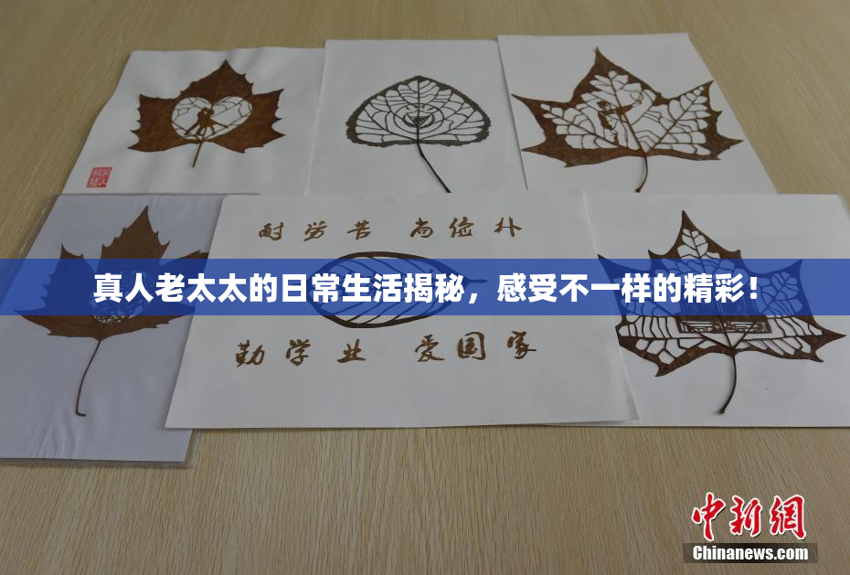 真人老太太的日常生活揭秘，感受不一样的精彩！