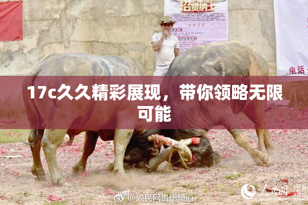 17c久久精彩展现，带你领略无限可能