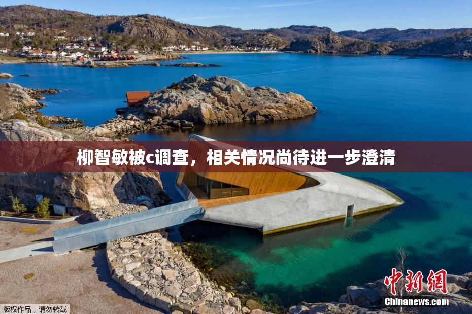 柳智敏被c调查，相关情况尚待进一步澄清