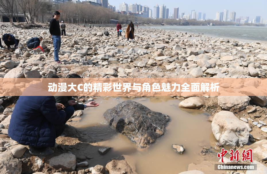 动漫大C的精彩世界与角色魅力全面解析