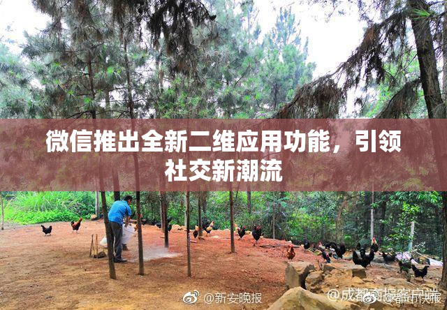 微信推出全新二维应用功能，引领社交新潮流
