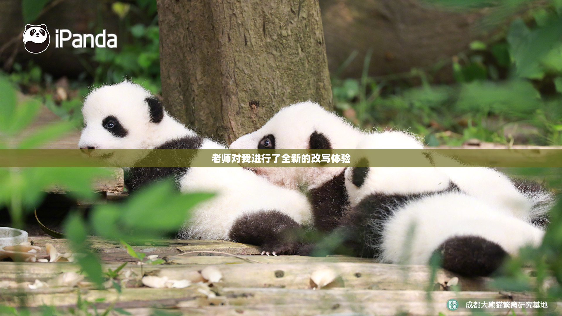 老师对我进行了全新的改写体验