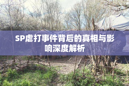 SP虐打事件背后的真相与影响深度解析