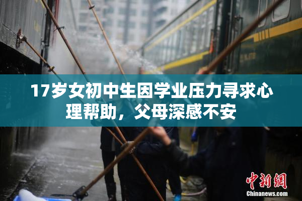17岁女初中生因学业压力寻求心理帮助，父母深感不安