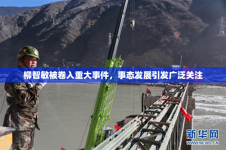 柳智敏被卷入重大事件，事态发展引发广泛关注