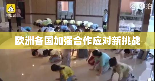 欧洲各国加强合作应对新挑战