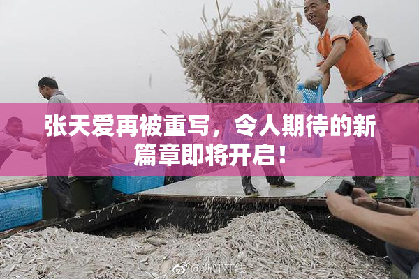 张天爱再被重写，令人期待的新篇章即将开启！