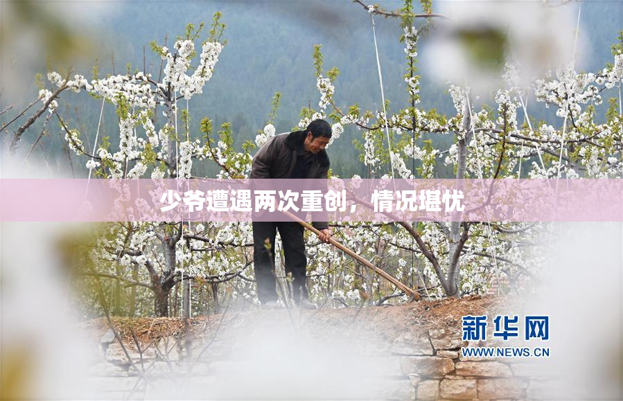 少爷遭遇两次重创，情况堪忧