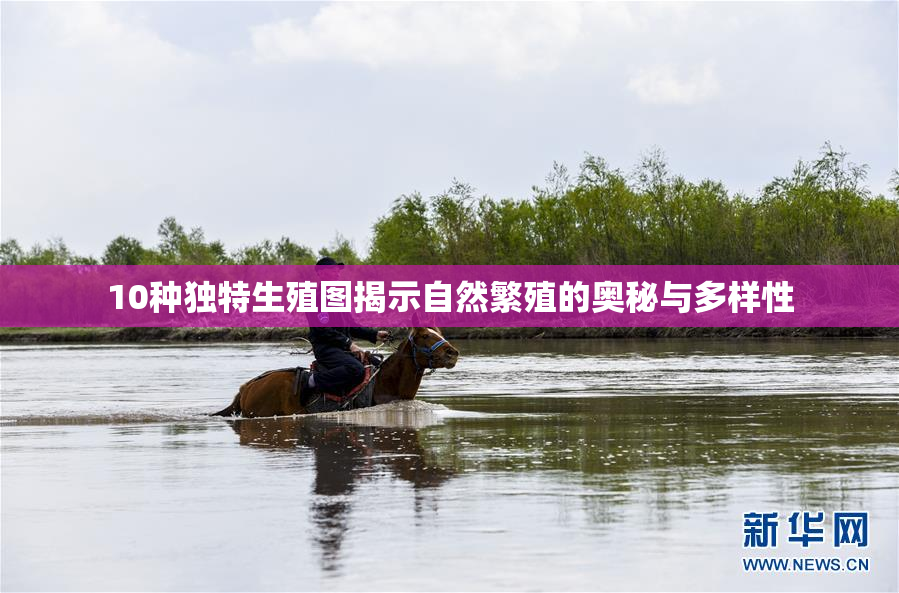 10种独特生殖图揭示自然繁殖的奥秘与多样性