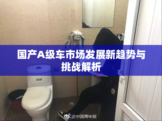 国产A级车市场发展新趋势与挑战解析