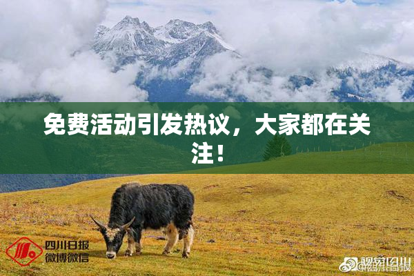 免费活动引发热议，大家都在关注！
