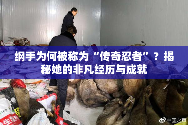 纲手为何被称为“传奇忍者”？揭秘她的非凡经历与成就