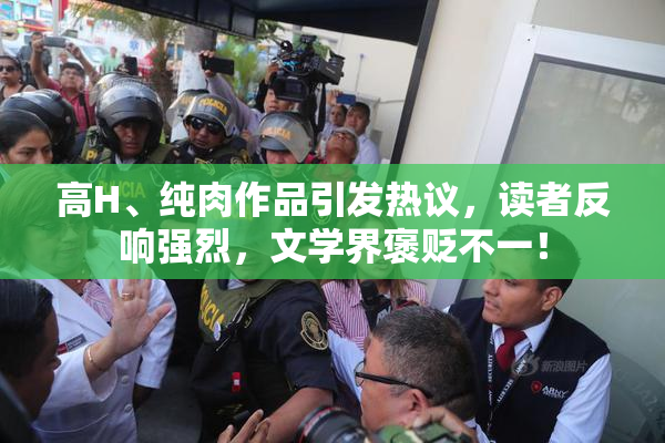 高H、纯肉作品引发热议，读者反响强烈，文学界褒贬不一！