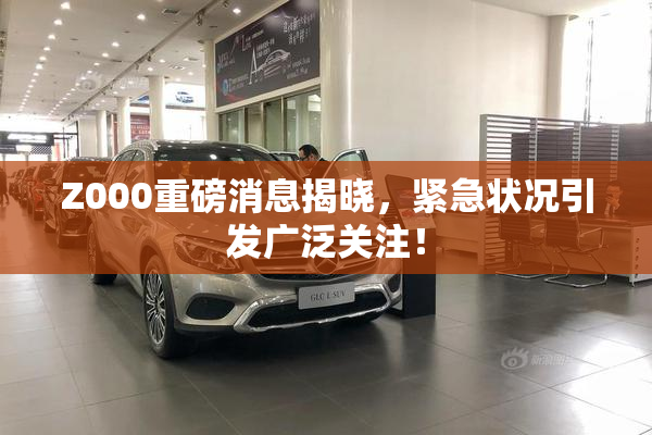 Z000重磅消息揭晓，紧急状况引发广泛关注！