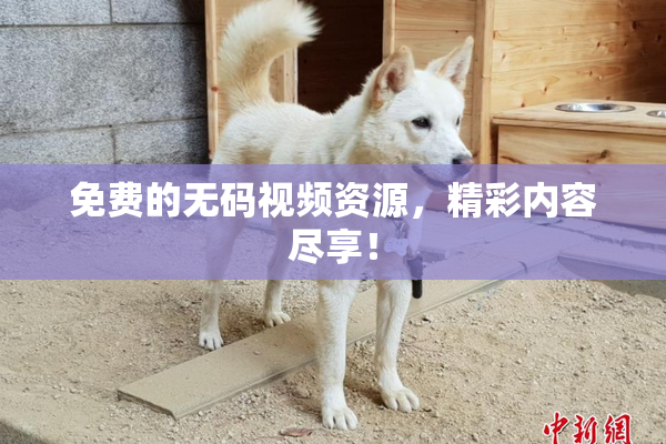 免费的无码视频资源，精彩内容尽享！
