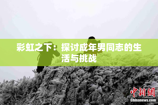 彩虹之下：探讨成年男同志的生活与挑战