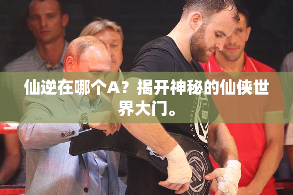 仙逆在哪个A？揭开神秘的仙侠世界大门。