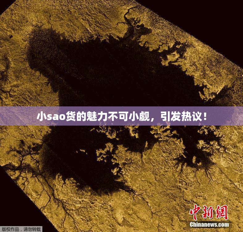 小sao货的魅力不可小觑，引发热议！