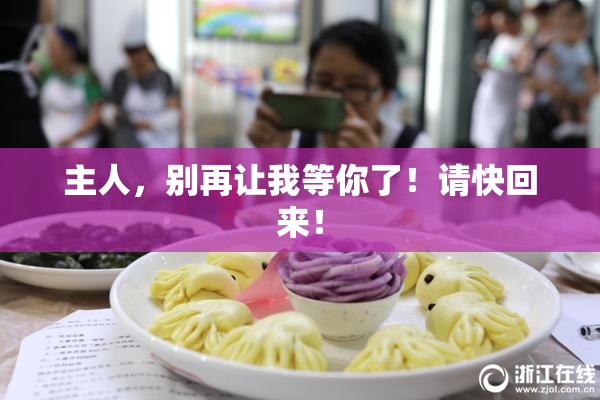 主人，别再让我等你了！请快回来！