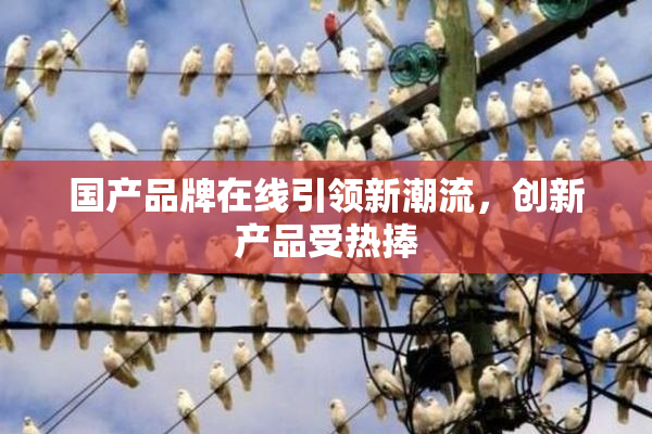 国产品牌在线引领新潮流，创新产品受热捧