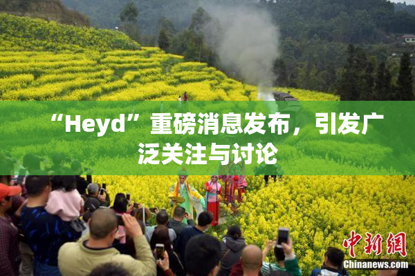 “Heyd”重磅消息发布，引发广泛关注与讨论